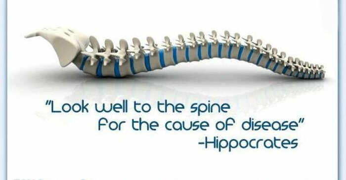 What Is Chiropractic?